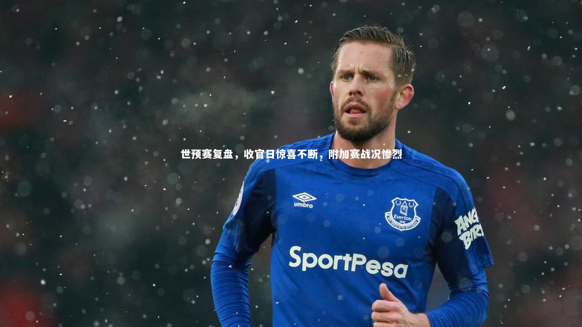 j9九游会官网登录_世预赛复盘，收官日惊喜不断，附加赛战况惨烈